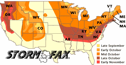 Minnesota Fall Color Chart